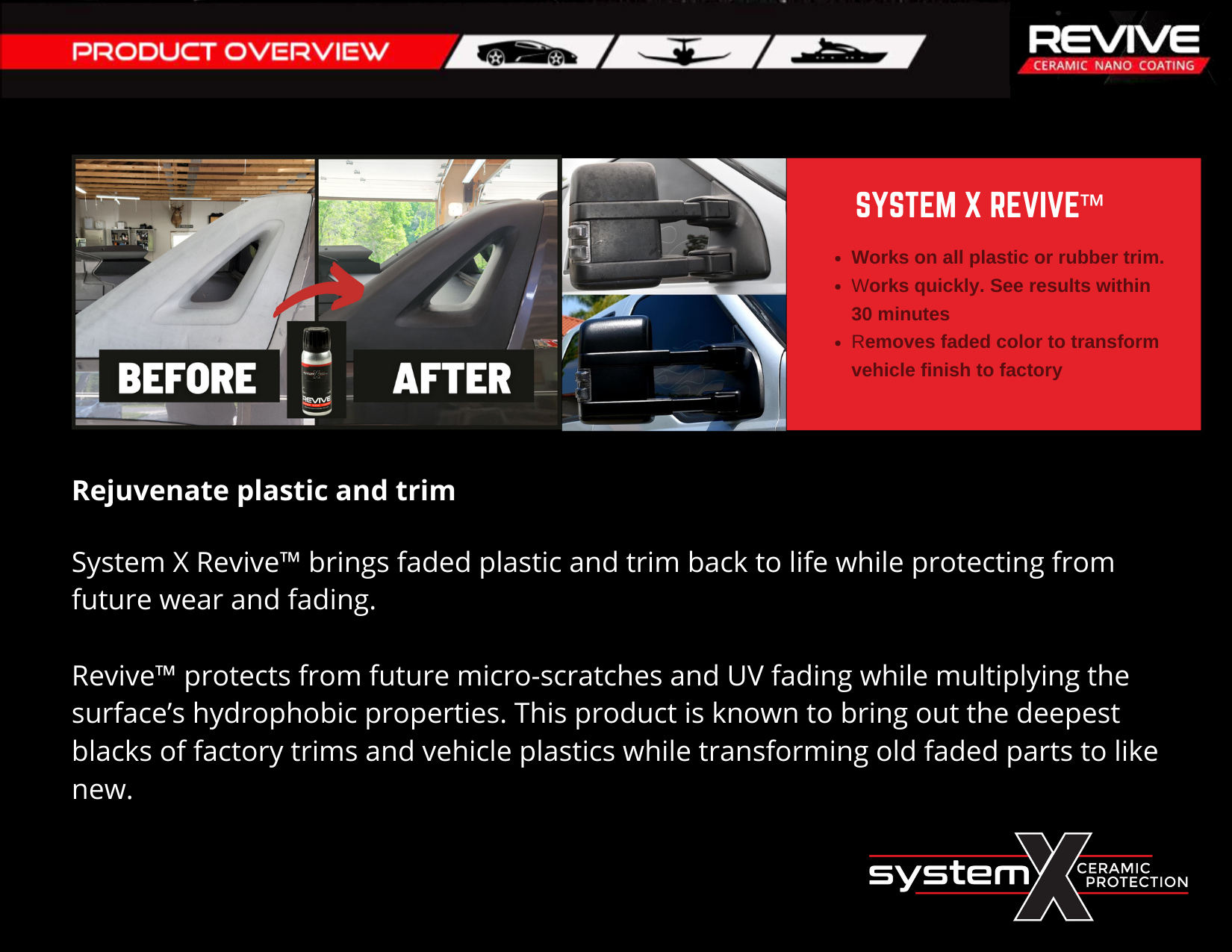 System X REVIVE product flyer